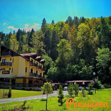 Pensiunea Geona Poiana Teiului Extérieur photo