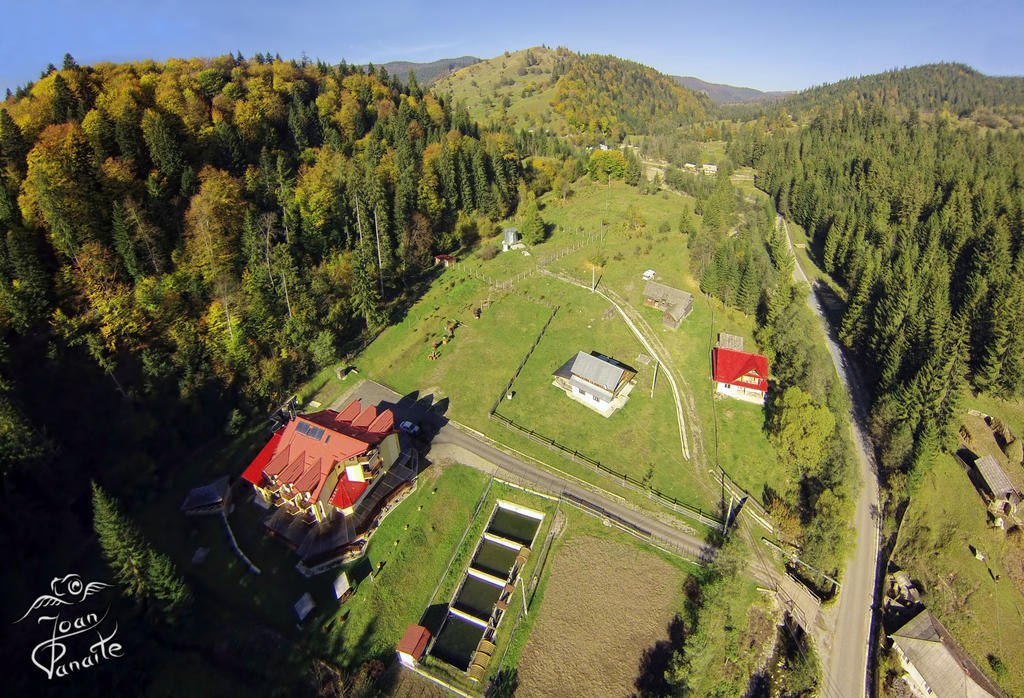 Pensiunea Geona Poiana Teiului Extérieur photo