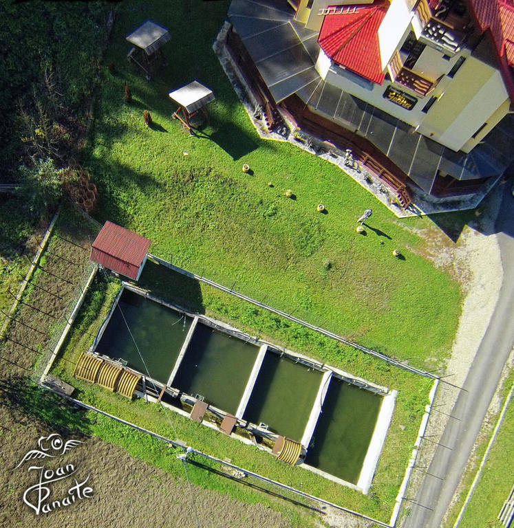 Pensiunea Geona Poiana Teiului Extérieur photo