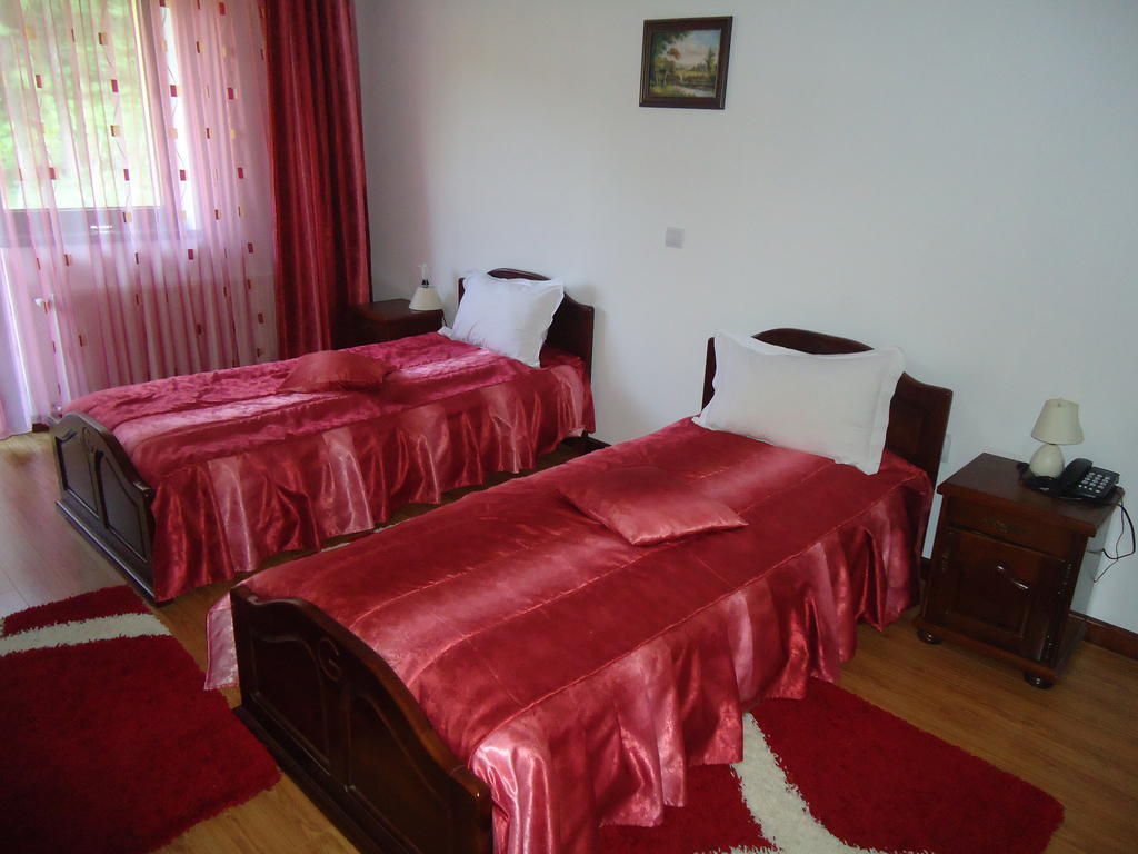 Pensiunea Geona Poiana Teiului Chambre photo