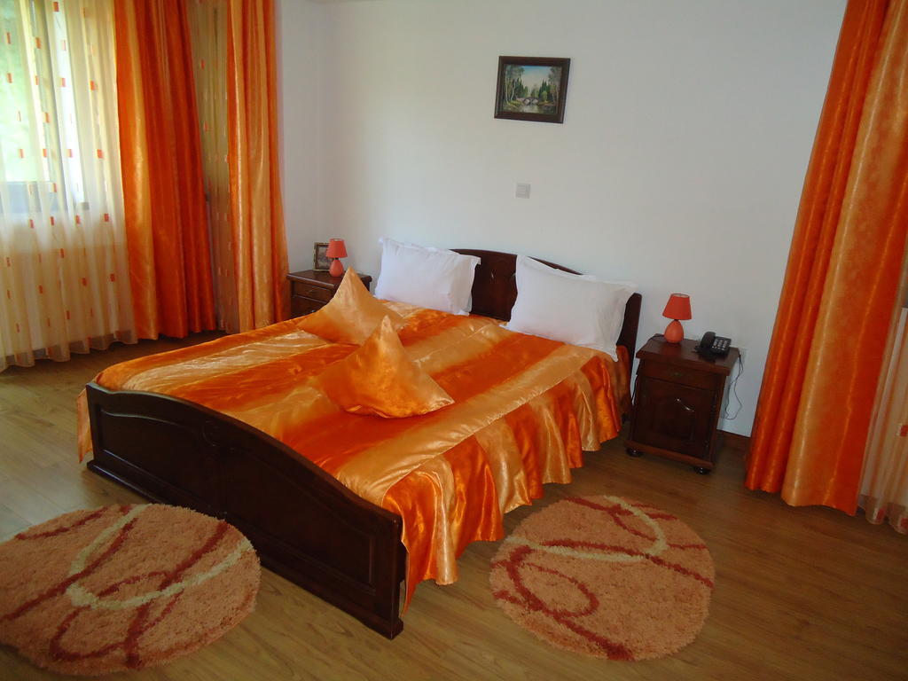 Pensiunea Geona Poiana Teiului Chambre photo